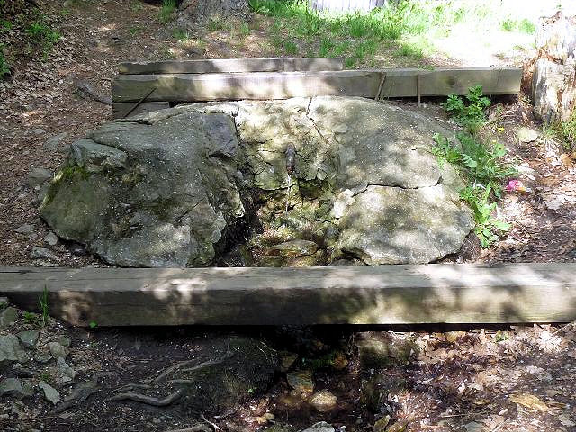 studánka Na Bydžově  (5665) - květen 2012