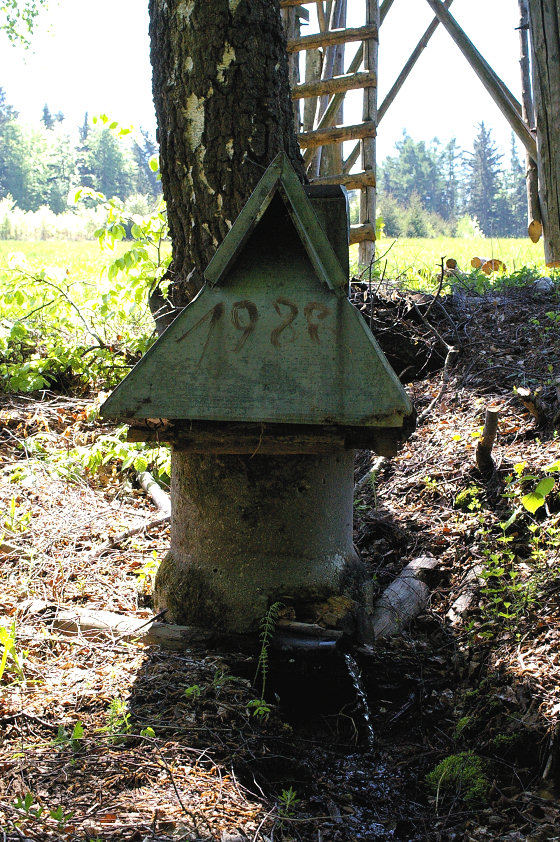 studánka Peňažná (5673) - květen 2012
