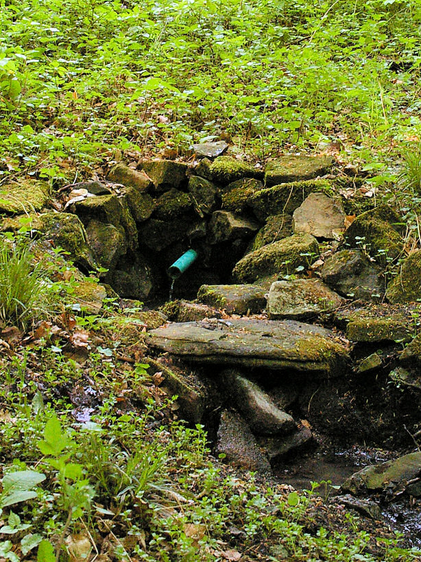 studánka Březovské 2 (5675) - květen 2012