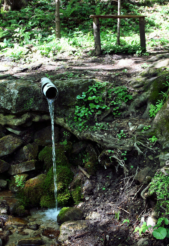 studánka Hladná voda (5678) - květen 2012