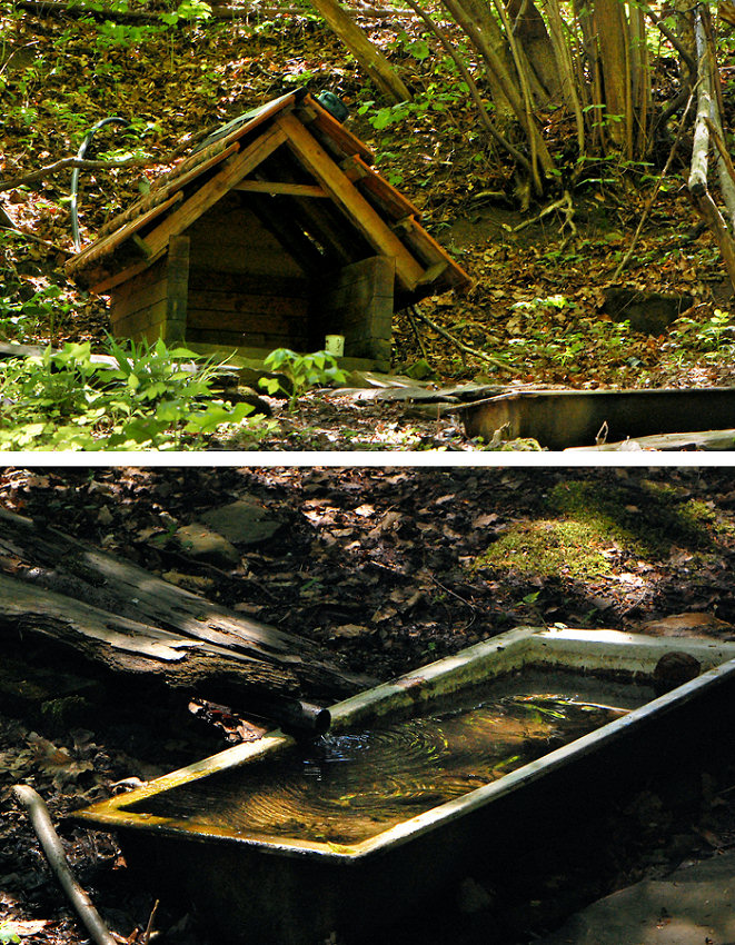 studánka Zadky (5681) - květen 2012