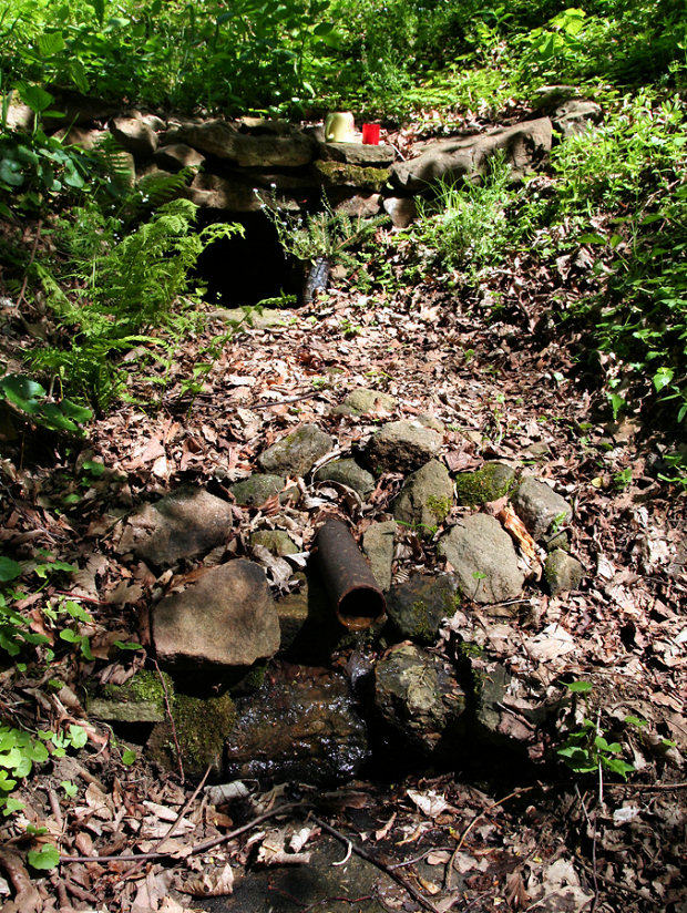 studánka U Jany (5690) - květen 2012