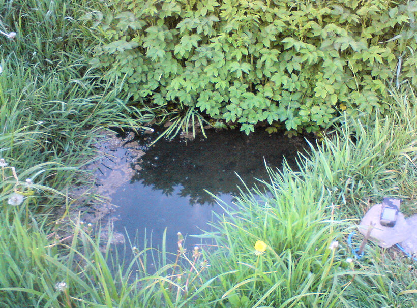 studánka Bezděčka (5696) - květen 2012
