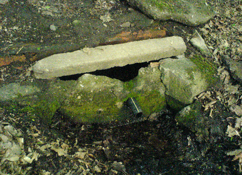 studánka Na podhůře (5701) - květen 2012