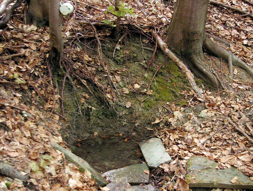 studánka Rudolfova (5709) - květen 2012