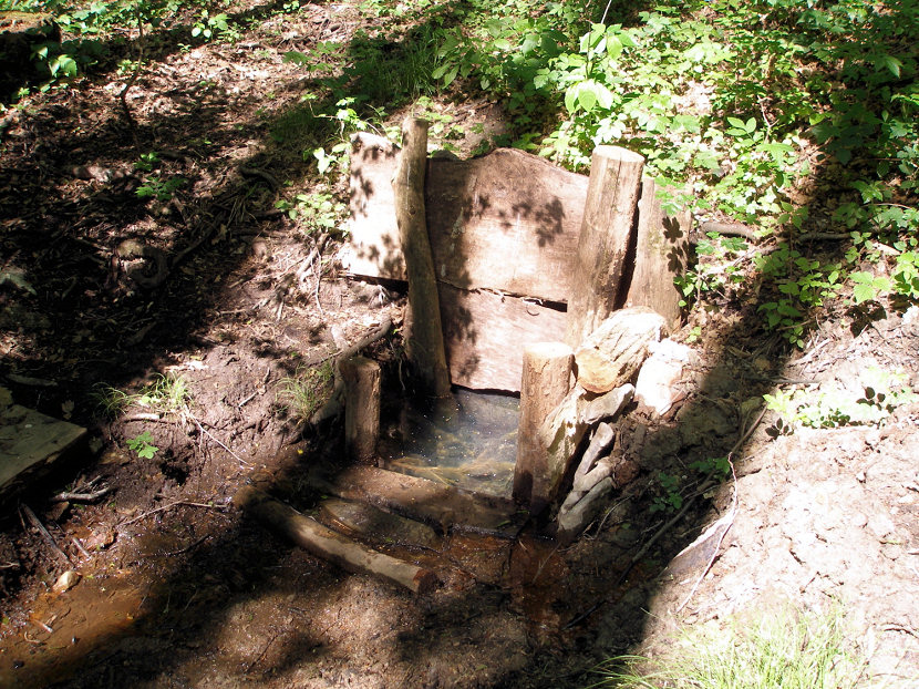 studánka Ve Strážích (5713) - květen 2012