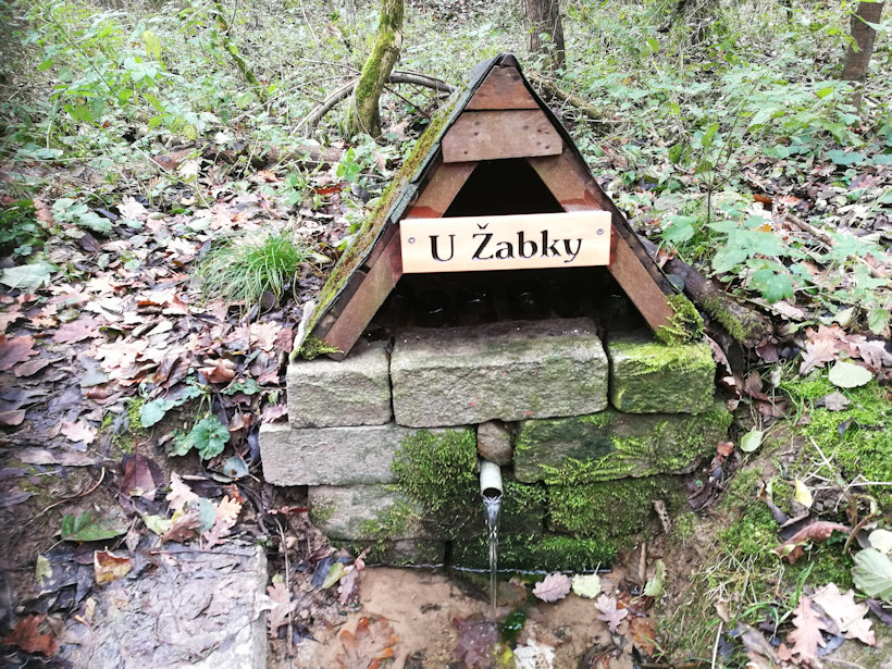pramen U Žabky (5726) - listopad 2020