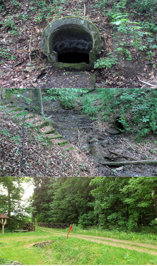 studánka bez jména (5727) - květen 2012
