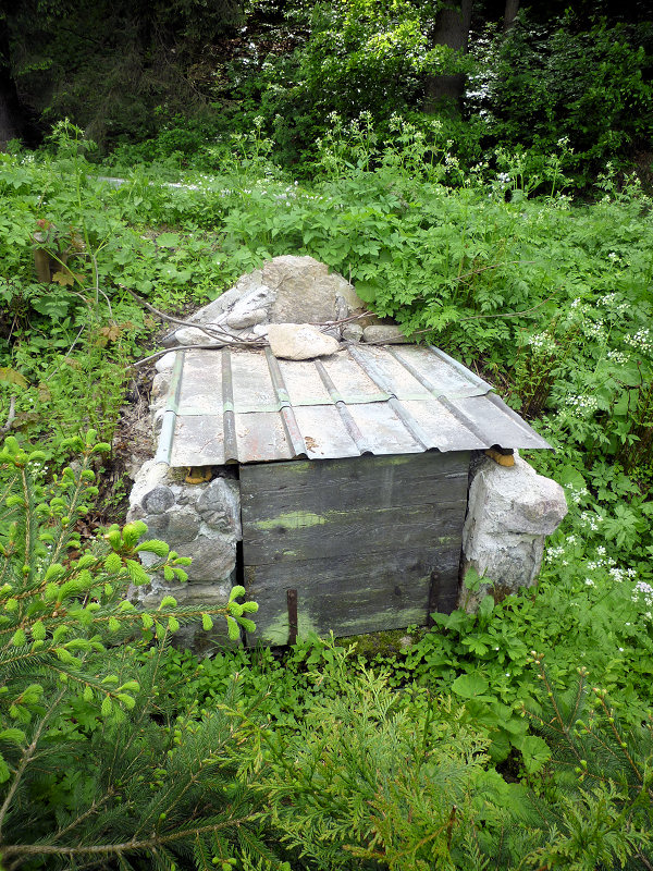 studánka U bývalé Fabovky (5754) - červen 2012