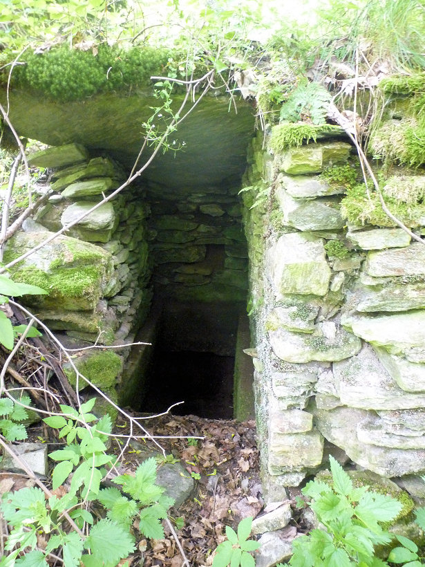 studánka U tábora (5758) - červen 2012