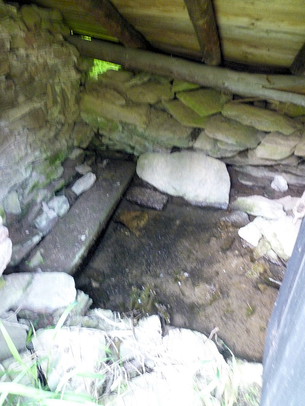 studánka V boudě (5761) - červen 2012