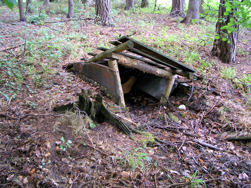 studánka bez jména (5770) - červen 2012