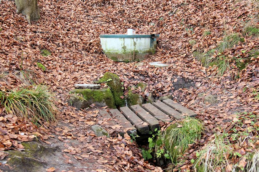 studánka U chaty Věry (5776) - červen 2012