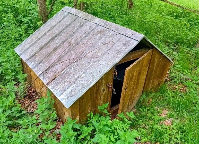 studánka bez jména (5777) - květen 2025