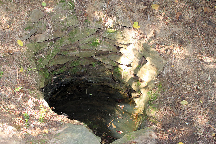 studánka Nad Hájenkou (5782) - červen 2012