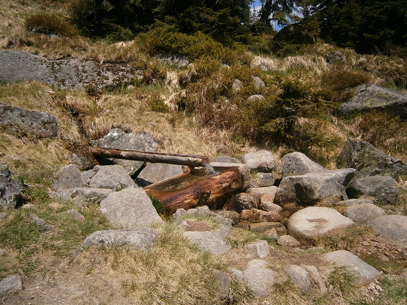studánka U Martinovky (5791) - červen 2012