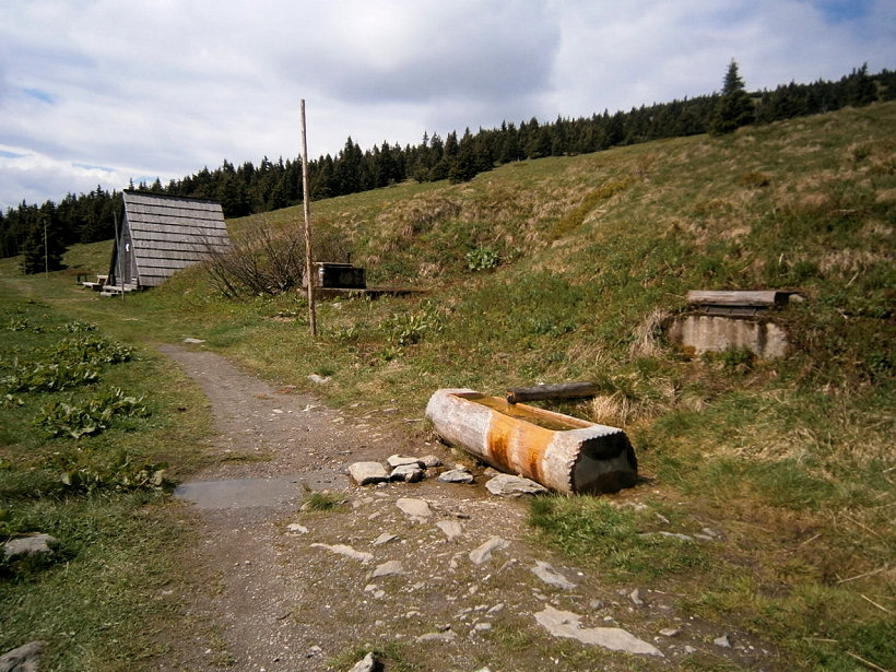 studánka Klínovka (5792) - červen 2012