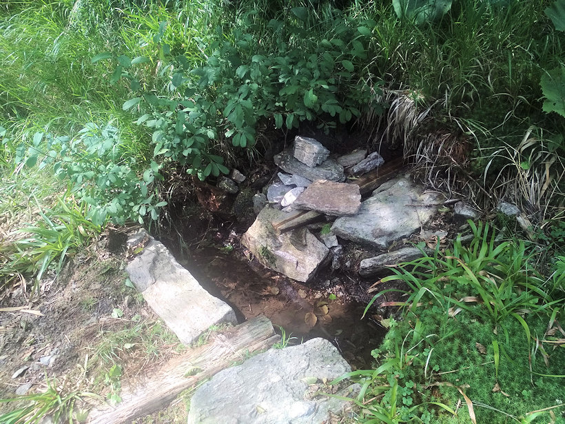 studánka U Černohorské chaty (5793) - srpen 2019