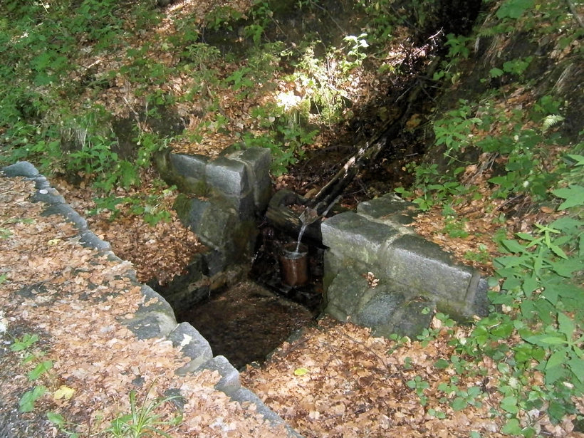 pramen Nad Kouty (5795) - červen 2012