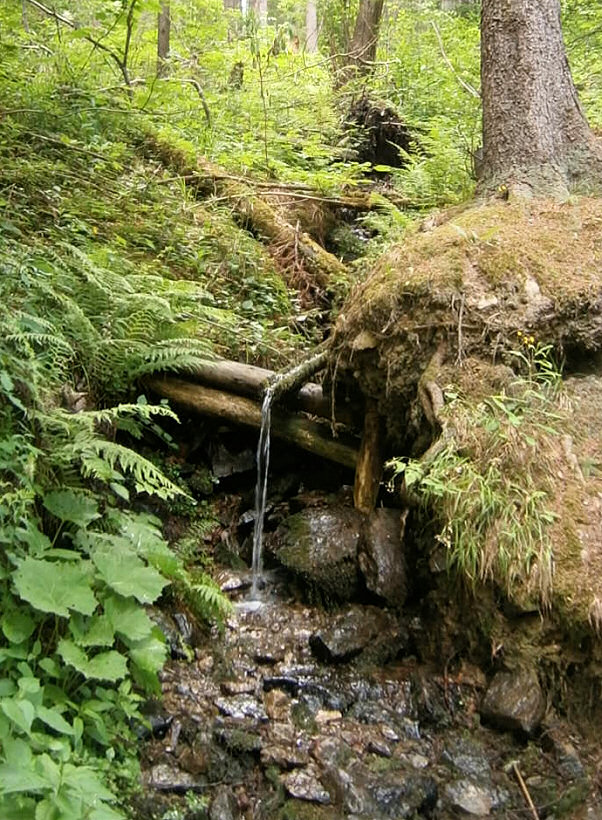 pramen Na Výsluní (5796) - červen 2012
