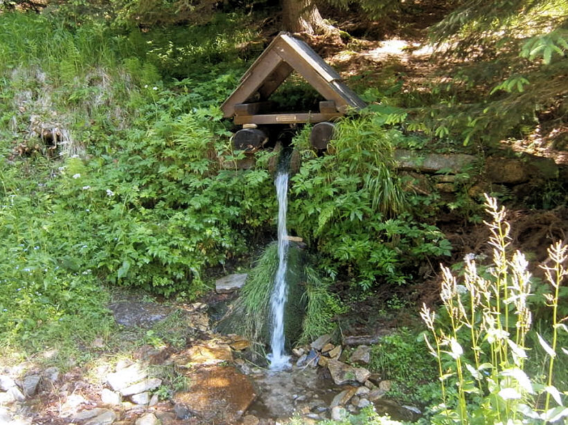 Poniklá studánka (5798) - červen 2012