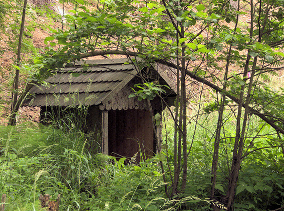 studánka Pod Bučinou (5810) - červenec 2012