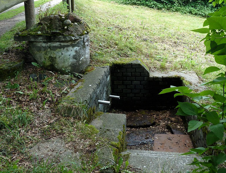 studánka bez jména (5811) - červenec 2012