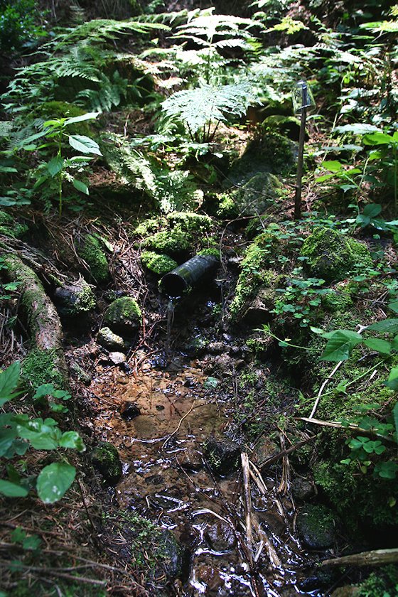 studánka Pod Slavickým kopcem II (5838) - červenec 2012