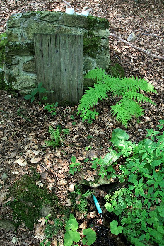studánka Pod Horami (5839) - červenec 2012