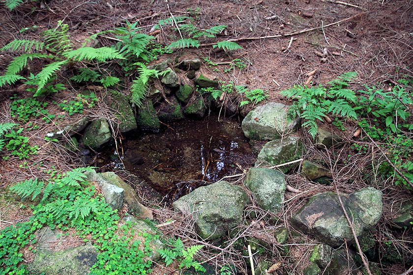 studánka Nad Muroňkou (5848) - červen 2013