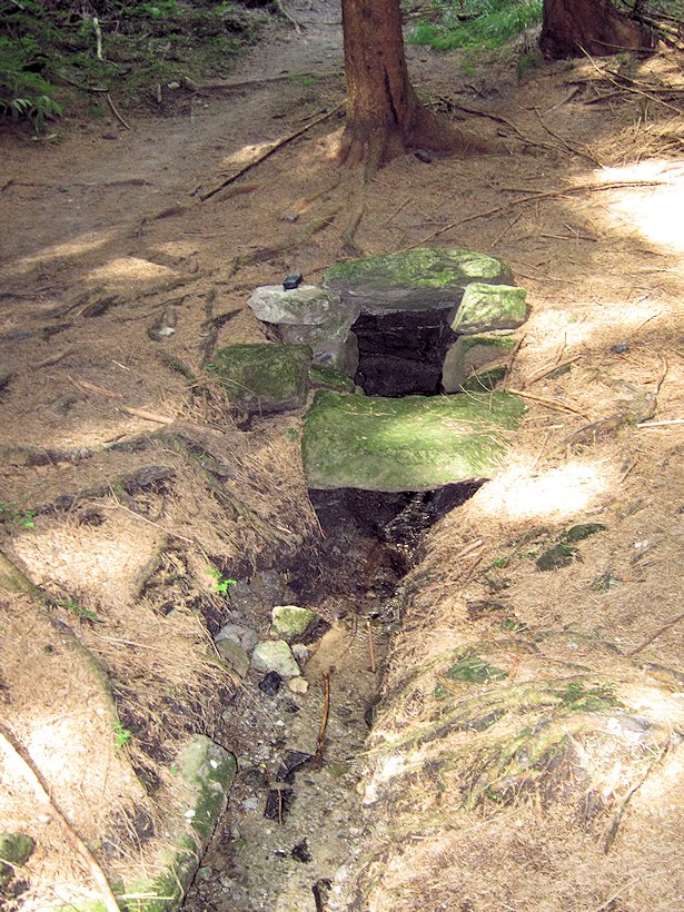 studánka Slavěna (5861) - červenec 2012