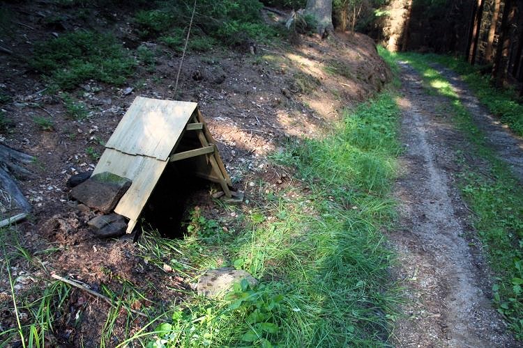 Bakotova studánka (5866) - červen 2013
