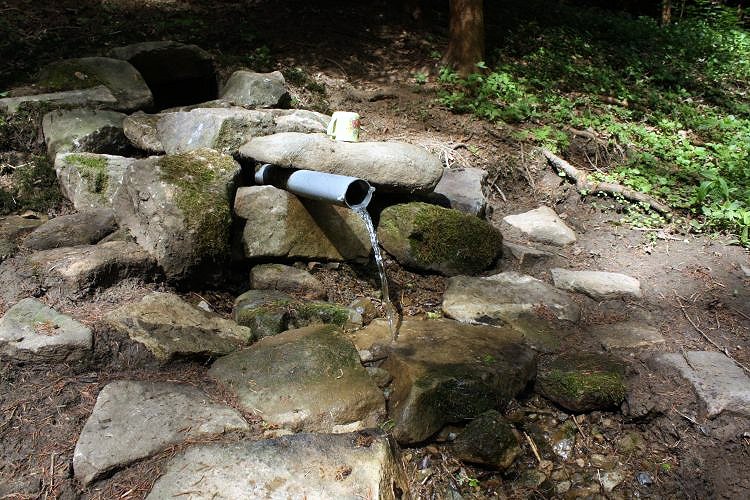 studánka Mechová (5868) - červenec 2012