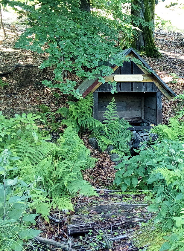 studánka Pod obrázkem (5876) - červen 2022