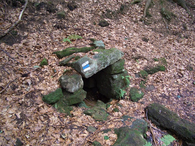 studánka Pod vysokým grúněm (5878) - červenec 2012