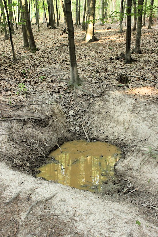 pramen Pod Spáleným kopcem (5879) - červenec 2012