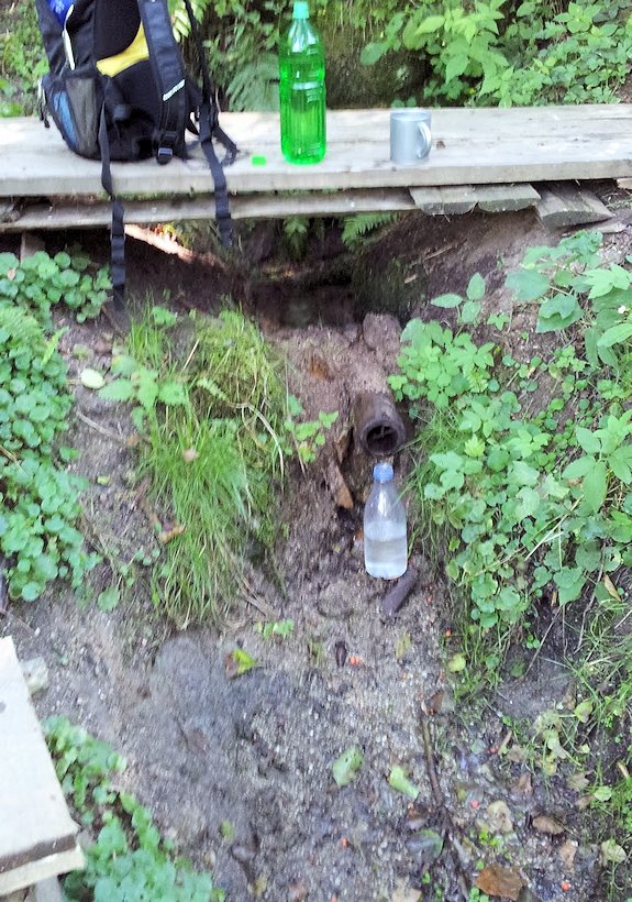 studánka bez jména (5883) - červenec 2012
