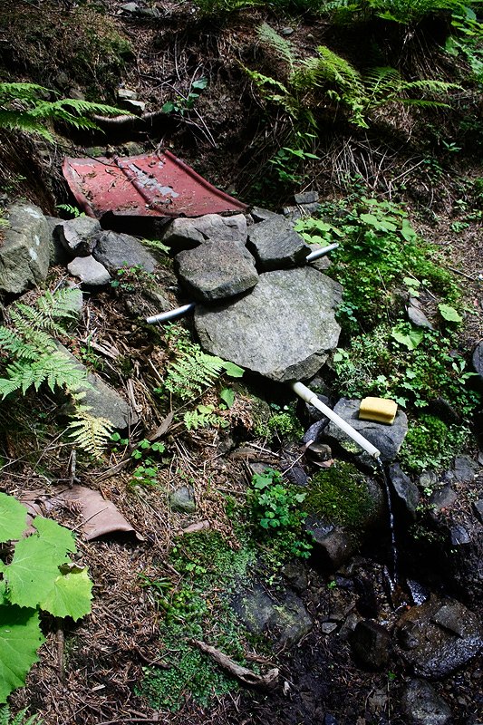 studánka bez jména (5885) - červenec 2012