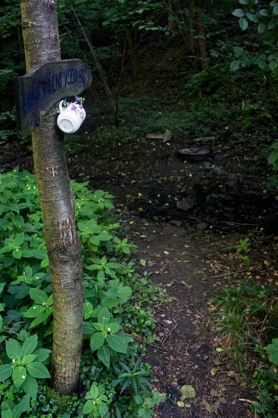 Sirná studánka Bič (5888) - červenec 2012