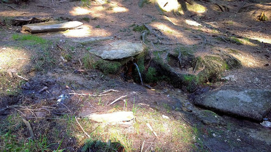 studánka U Jezírka (5889) - duben 2019