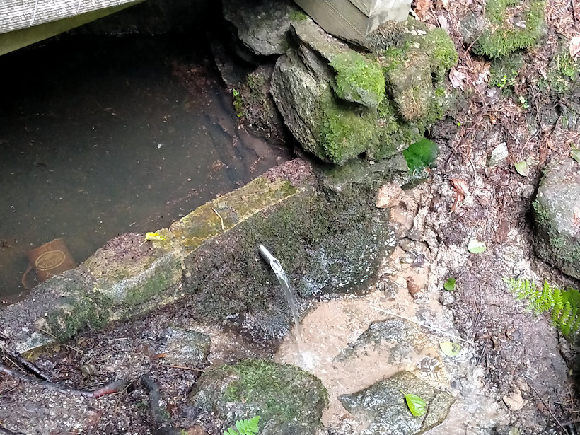 studánka Houžvička (5894) - červenec 2022