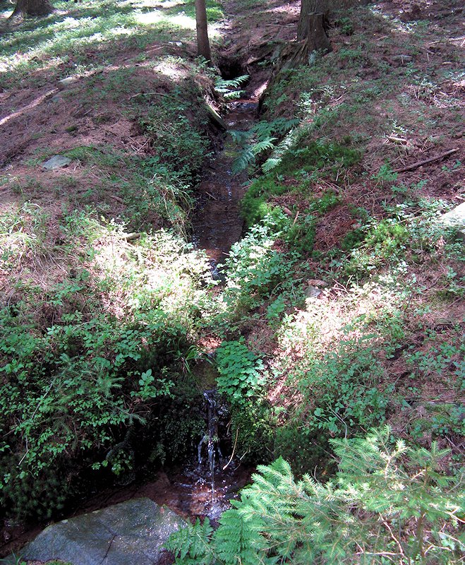 studánka pramen Zubčického potoka (5901) - srpen 2012
