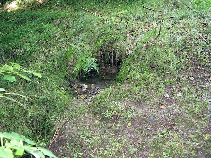 studánka U Jána (5903) - srpen 2012