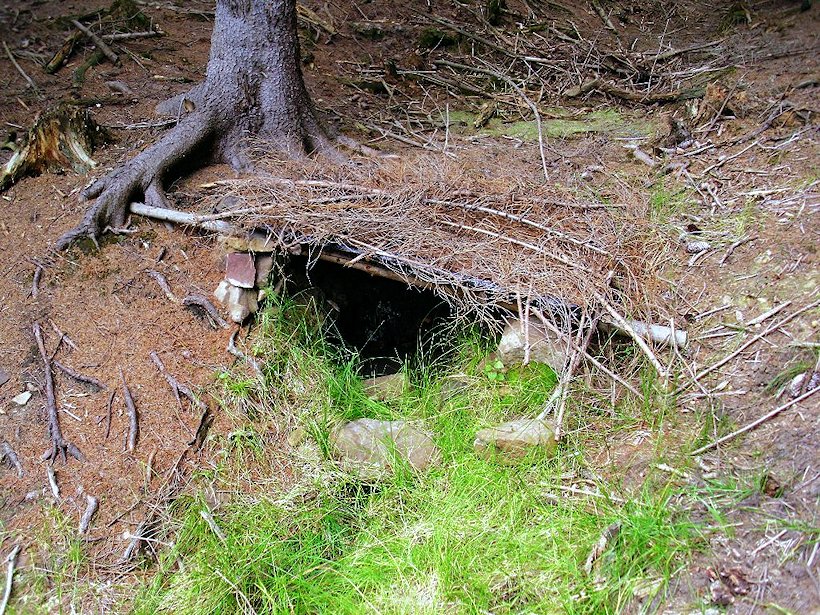 studánka bez jména (5905) - srpen 2012