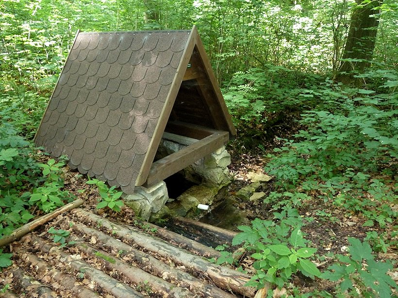 studánka bez jména (5932) - srpen 2012