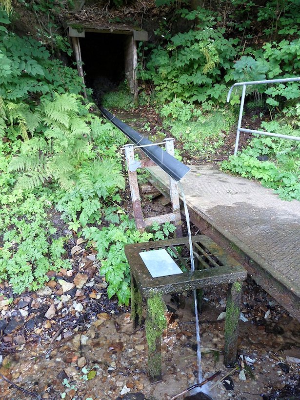 studánka U čerta (5933) - srpen 2012