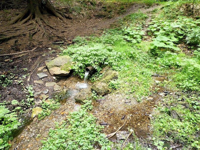 studánka Pramen Dědiny (5935) - srpen 2012