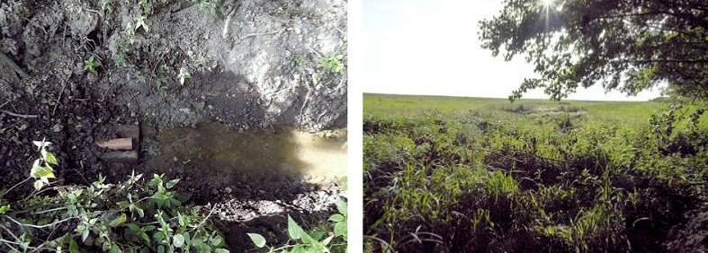 prameniště Sázavka (5940) - srpen 2012