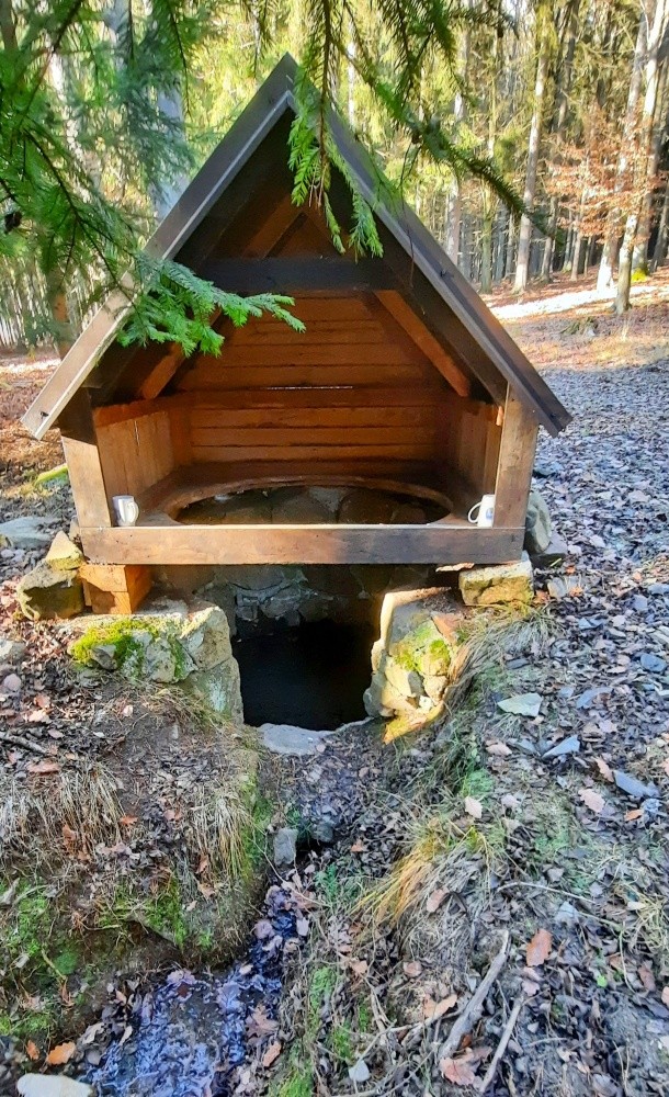 studánka Nad Kazatelnou (5976) - prosinec 2024