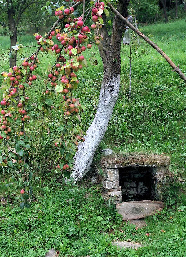 Jabloňová studánka (5996) - září 2012